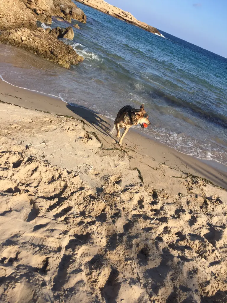 Image from Sancho