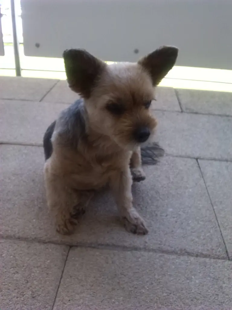 Image from Ronja