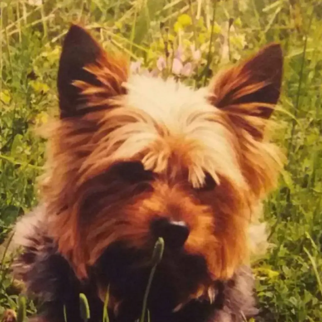 Andachtsbild von Silke