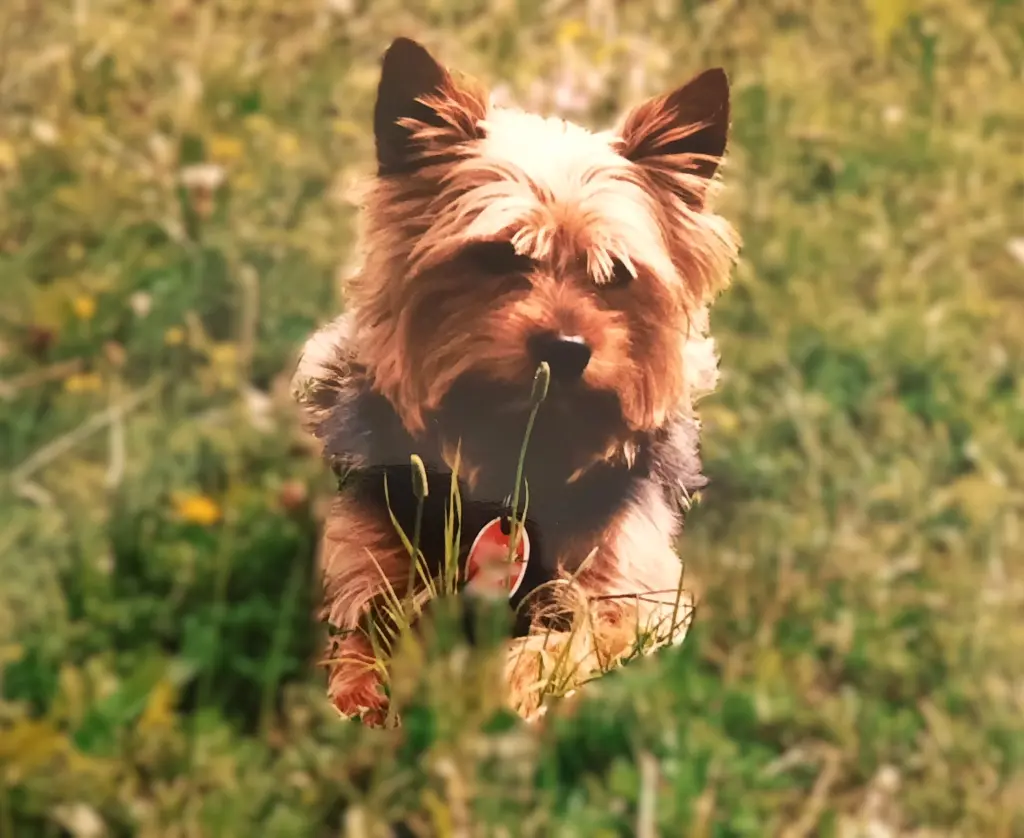 Andachtsbild von Silke Mohs