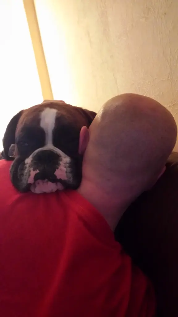 Condolence image of Karina und Jörg mit Floyd im ❤ 