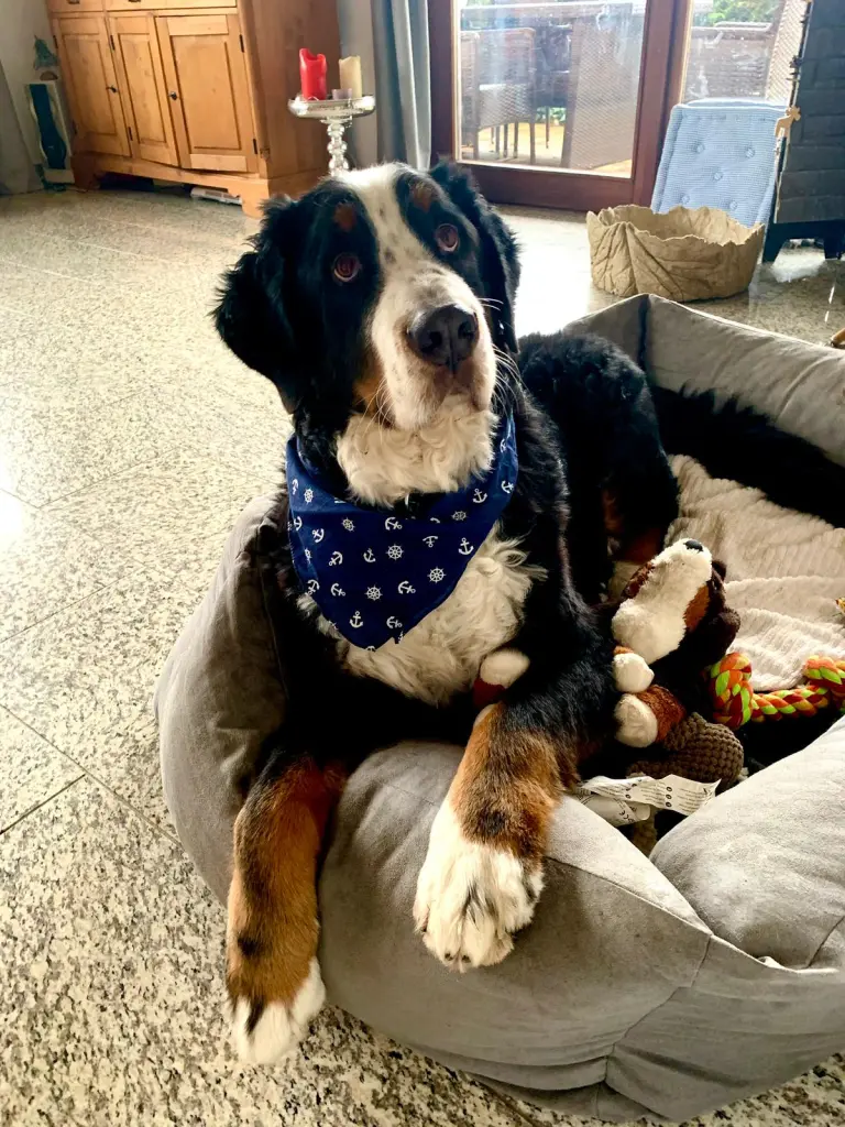 Image from Murphy