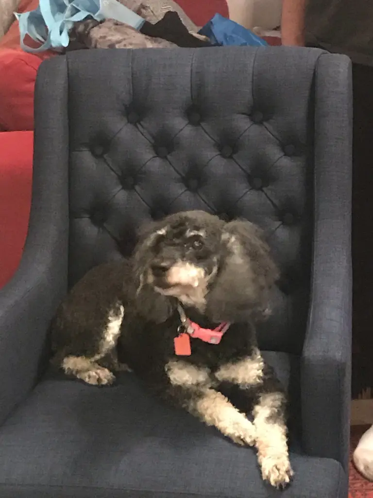 Image from Murphy Girl