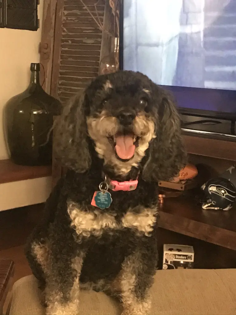 Image from Murphy Girl