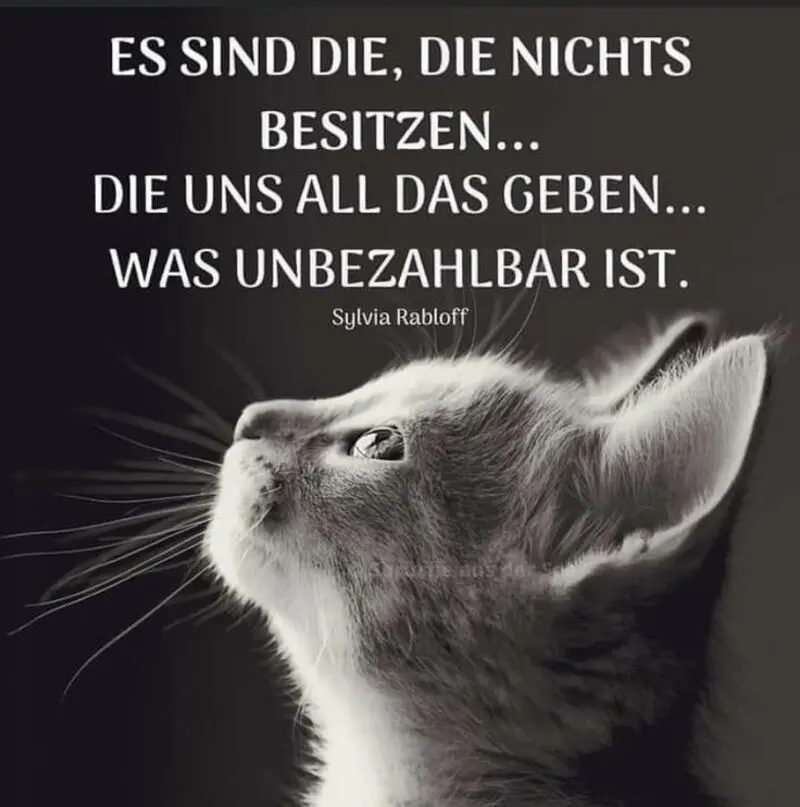 Condolence image of Ramona mit Rambo im ❤️