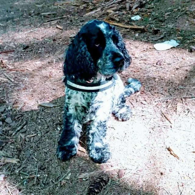Condolence image of Christiane 