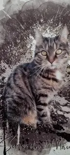 Image from Senorita Maus