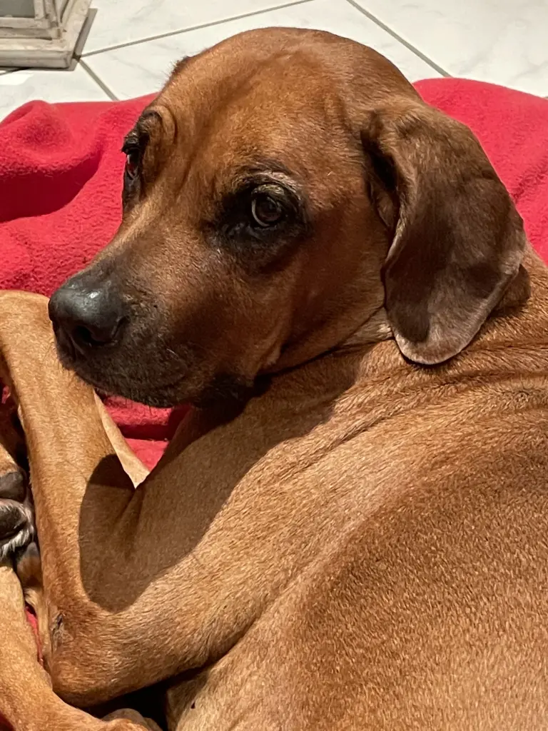 Condolence image of Gisela