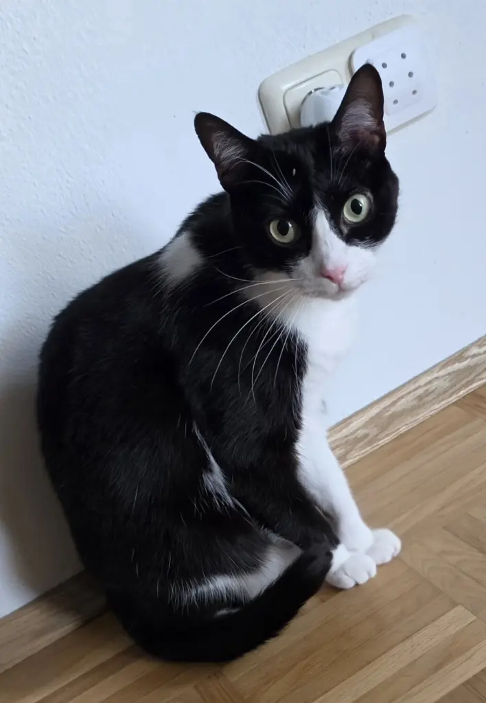 Condolence image of Ich