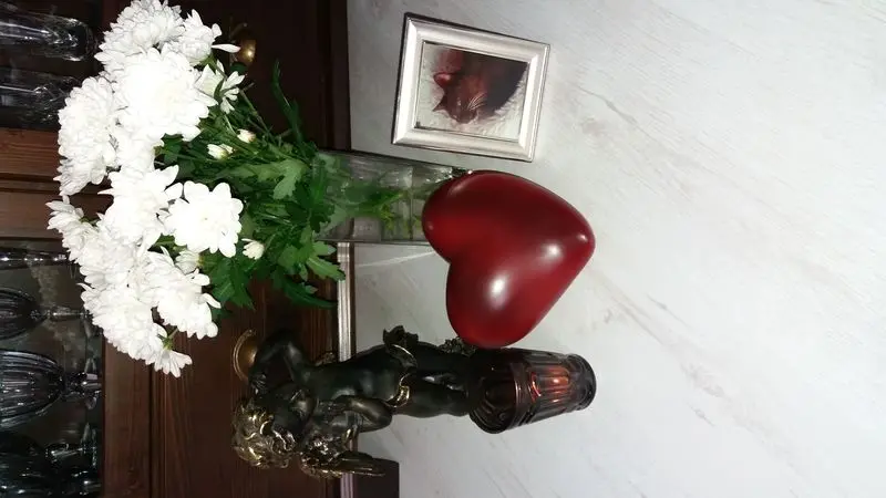 Condolence image of Silke