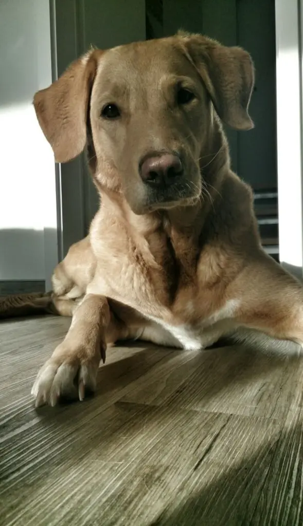 Condolence image of Sylvia