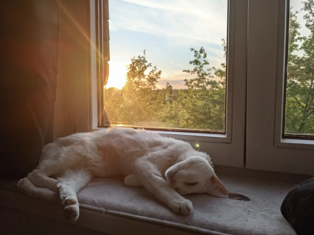 Image from Lumah