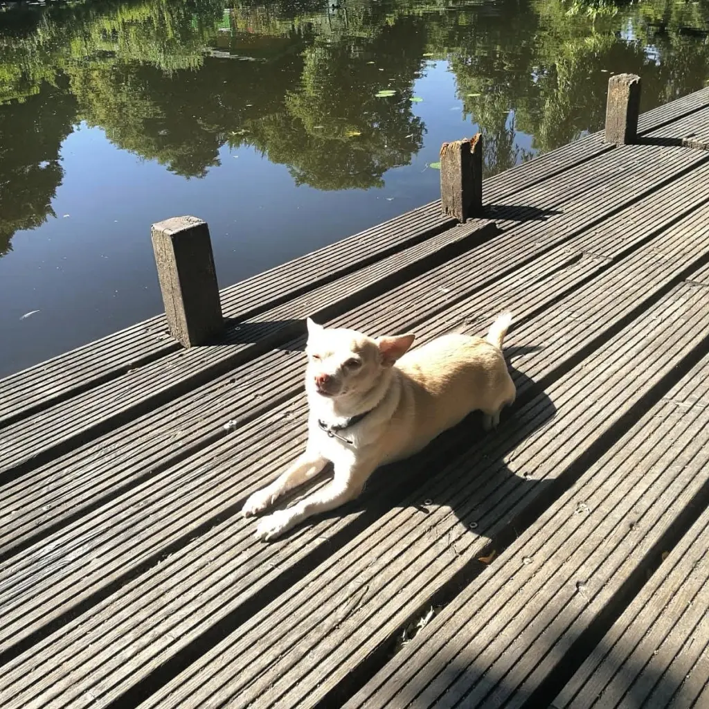 Condolence image of Jenny