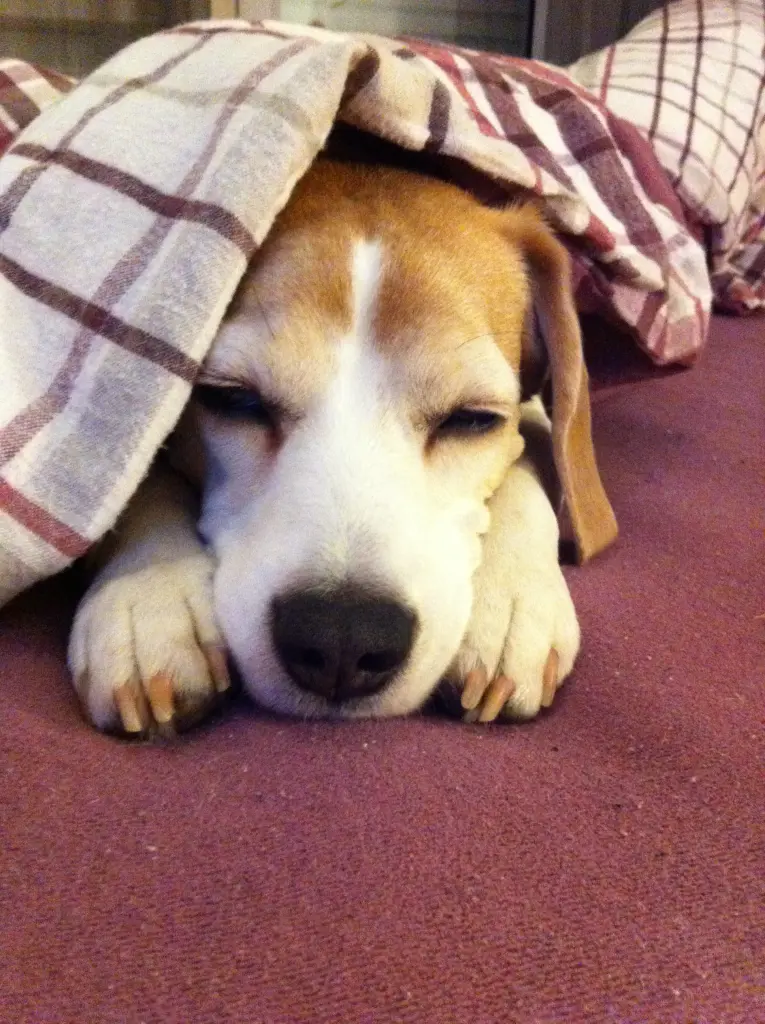 Condolence image of Winnie