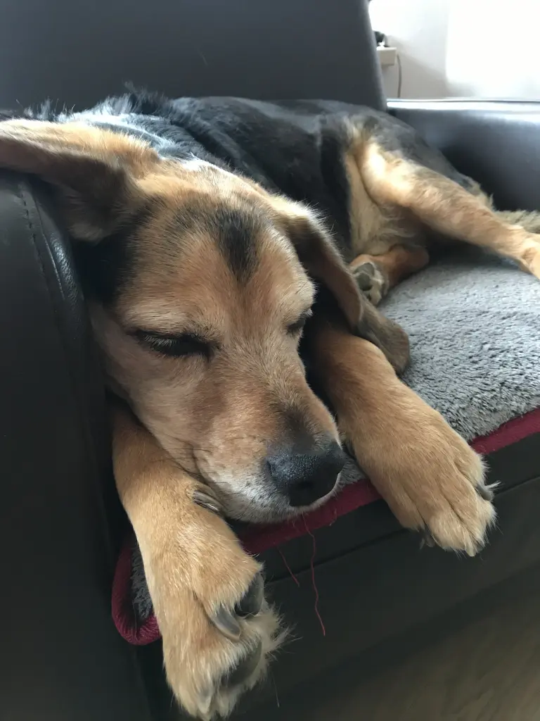 Image from Balou