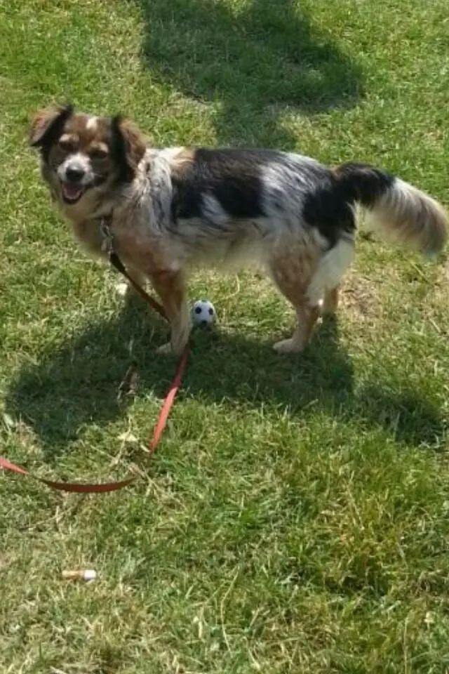 Condolence image of Jasmin
