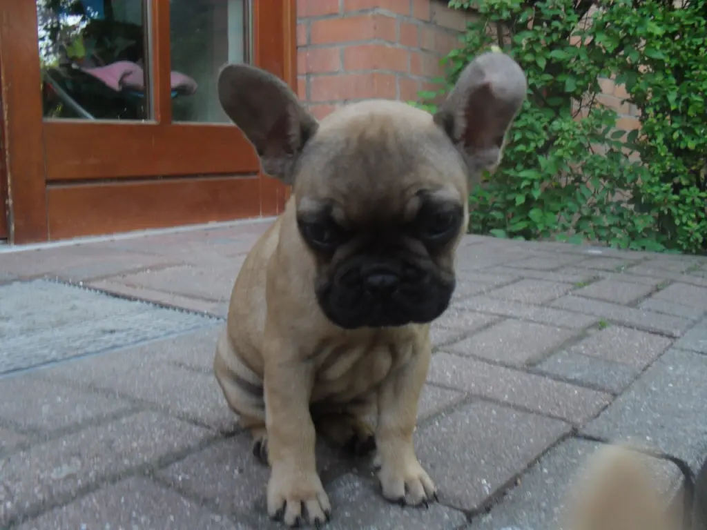 Image from Amy