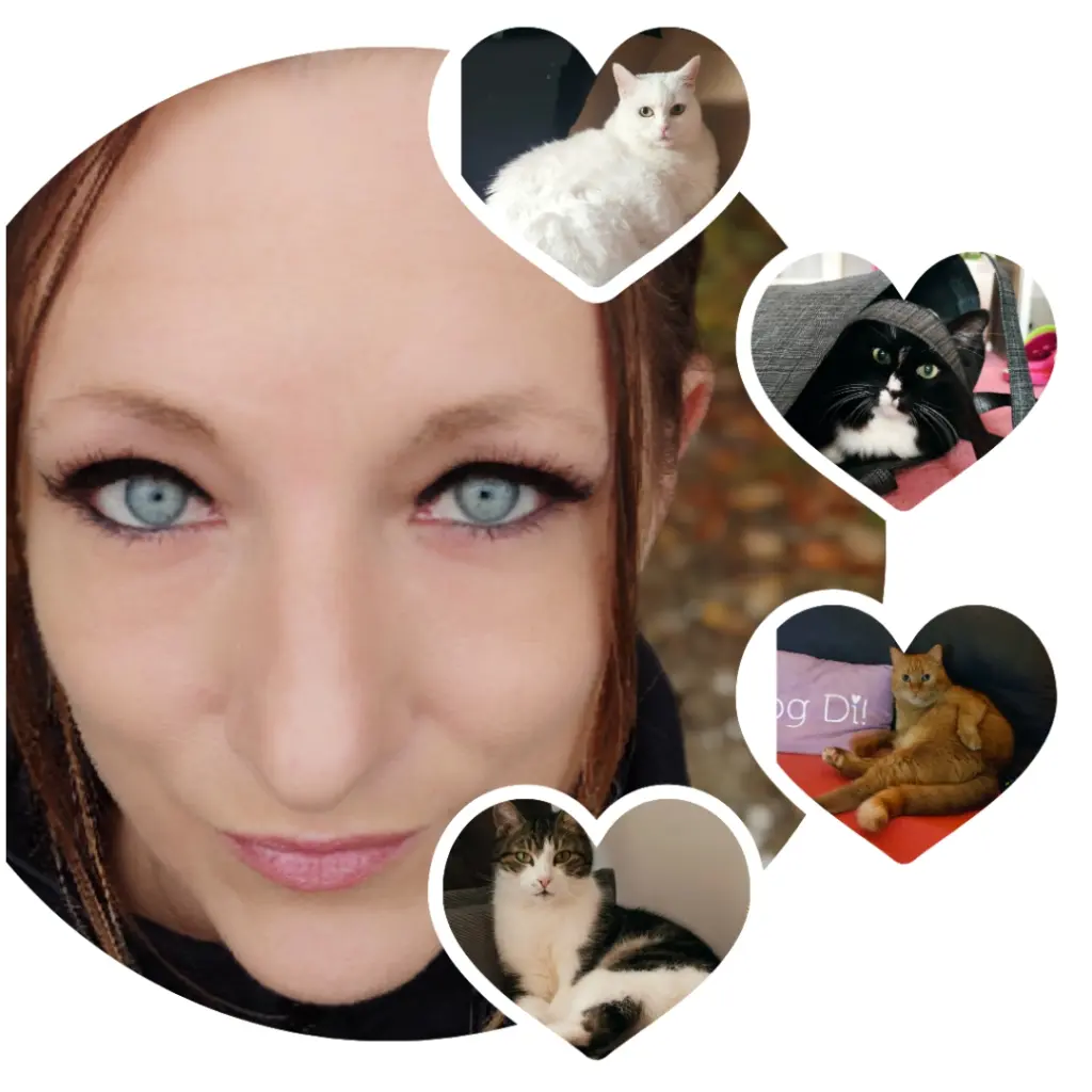 Condolence image of Lissy casper wussel