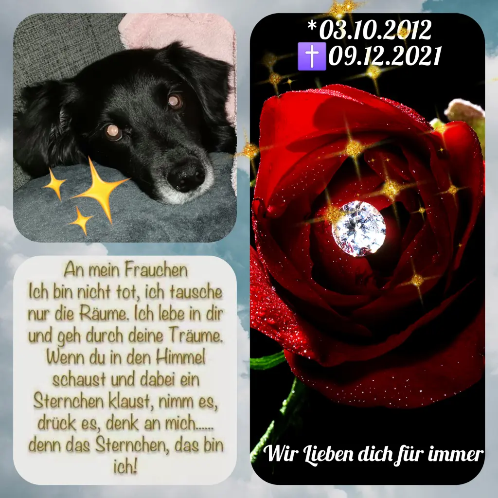 Image from Balu