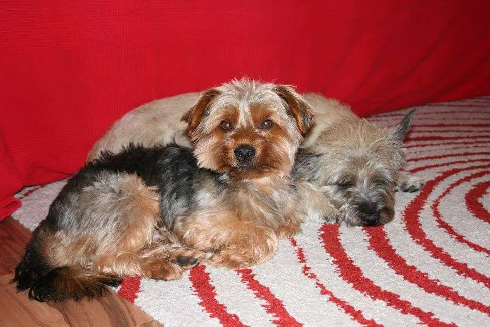 Condolence image of Claudia