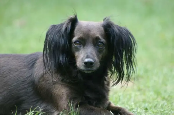 Condolence image of Sandra