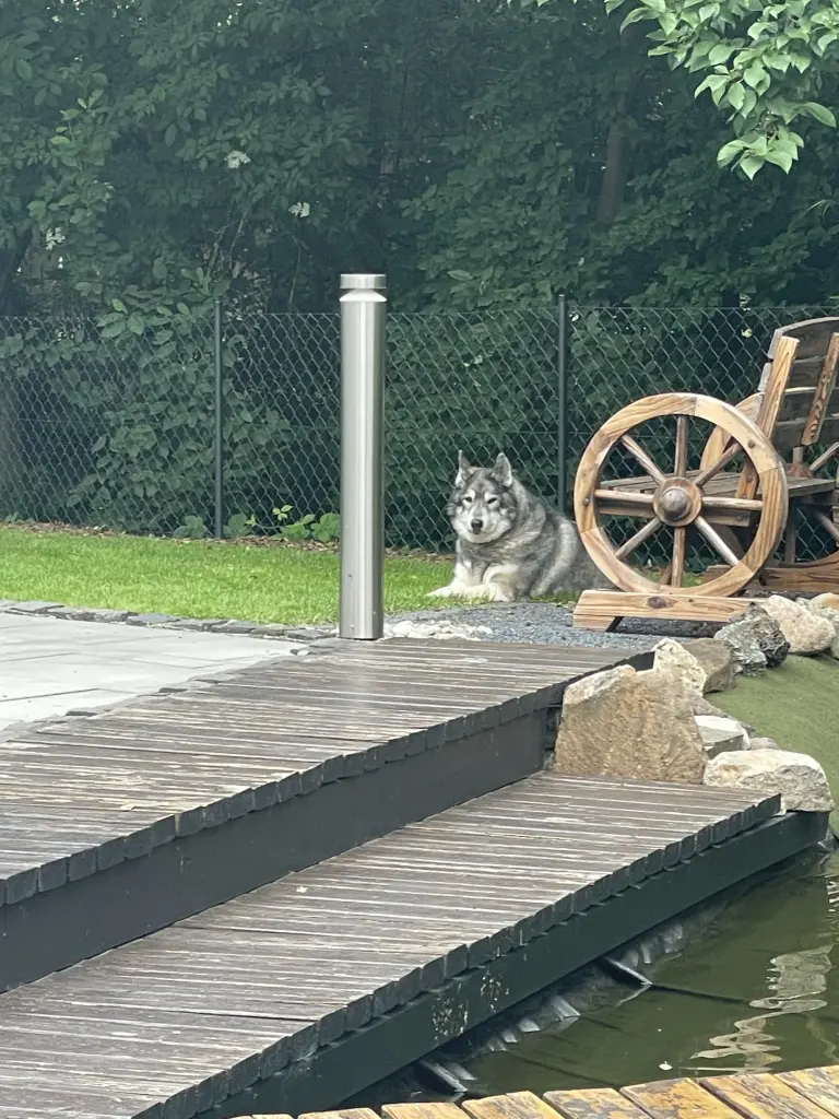 Image from Hotte
