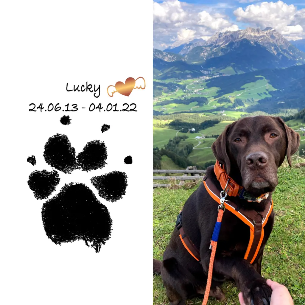 Image from Lucky