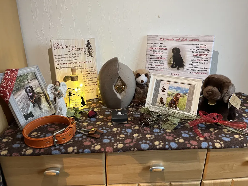 Image from Lucky