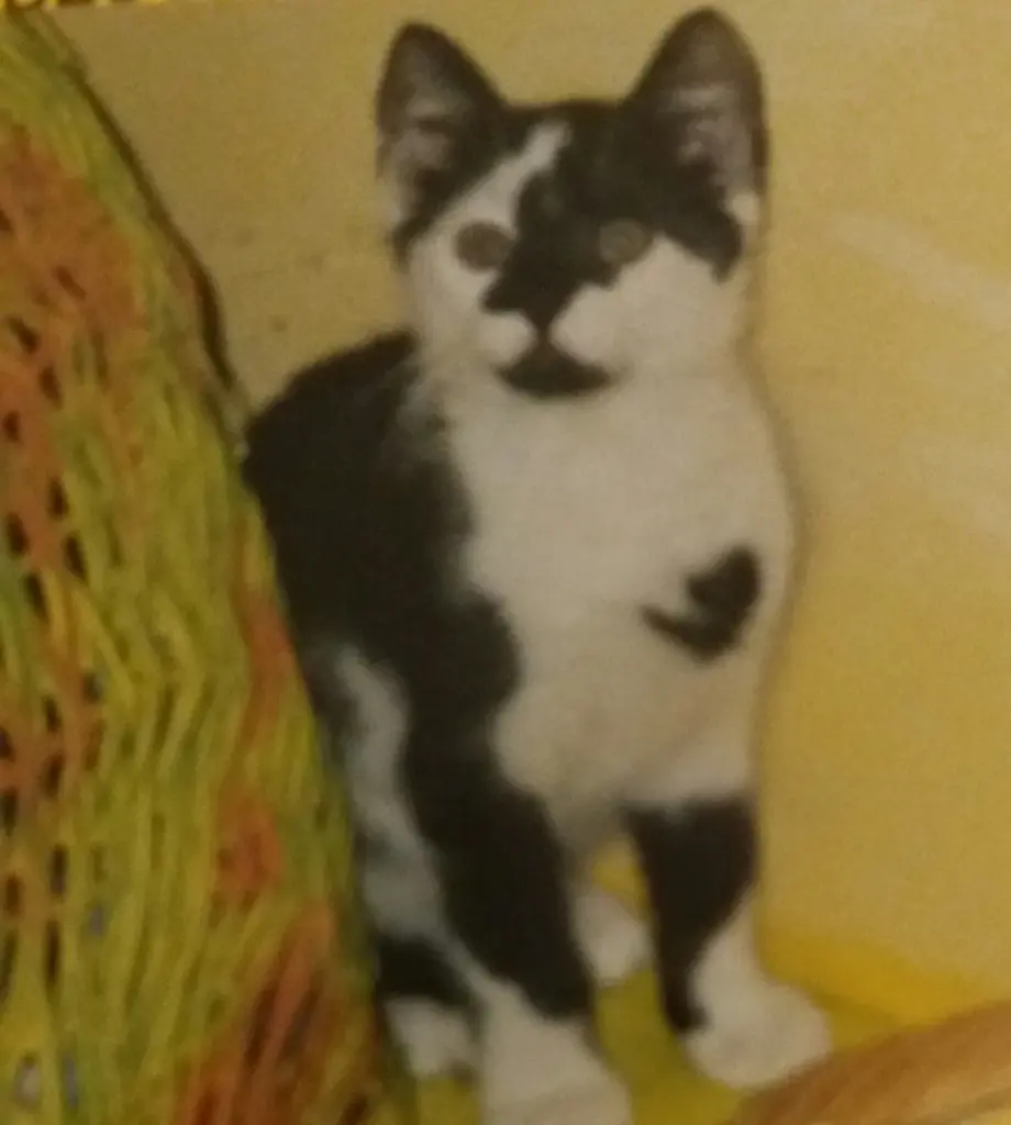 Andachtsbild von Annemarie und Elke mit Snoopy im Herzen gest. 04.01.2022