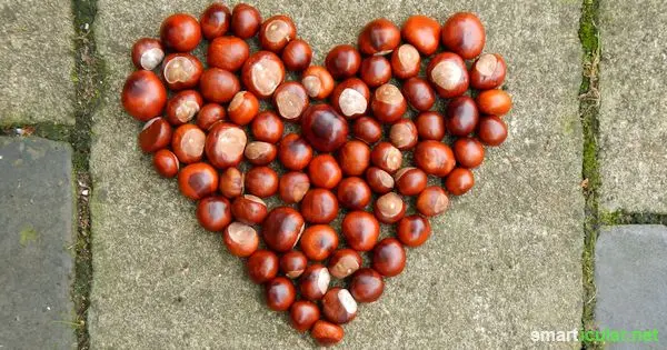 Condolence image of Unbekannt