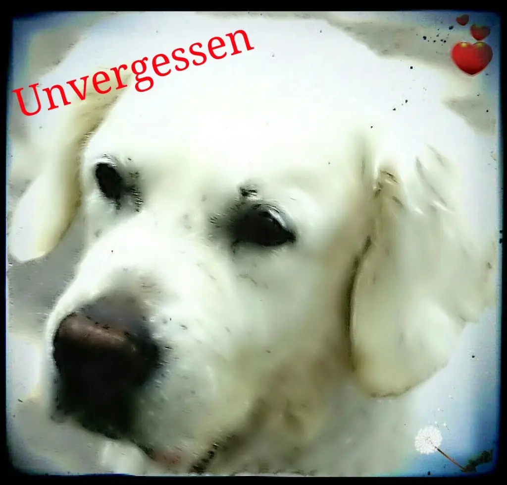 Condolence image of Unbekannt