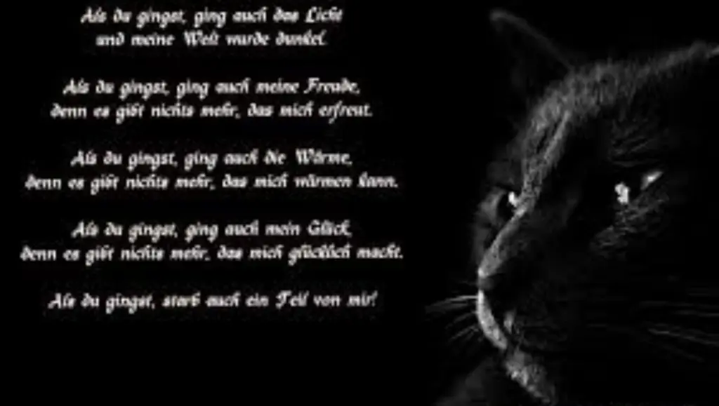 Condolence image of An meinen Bube❤️