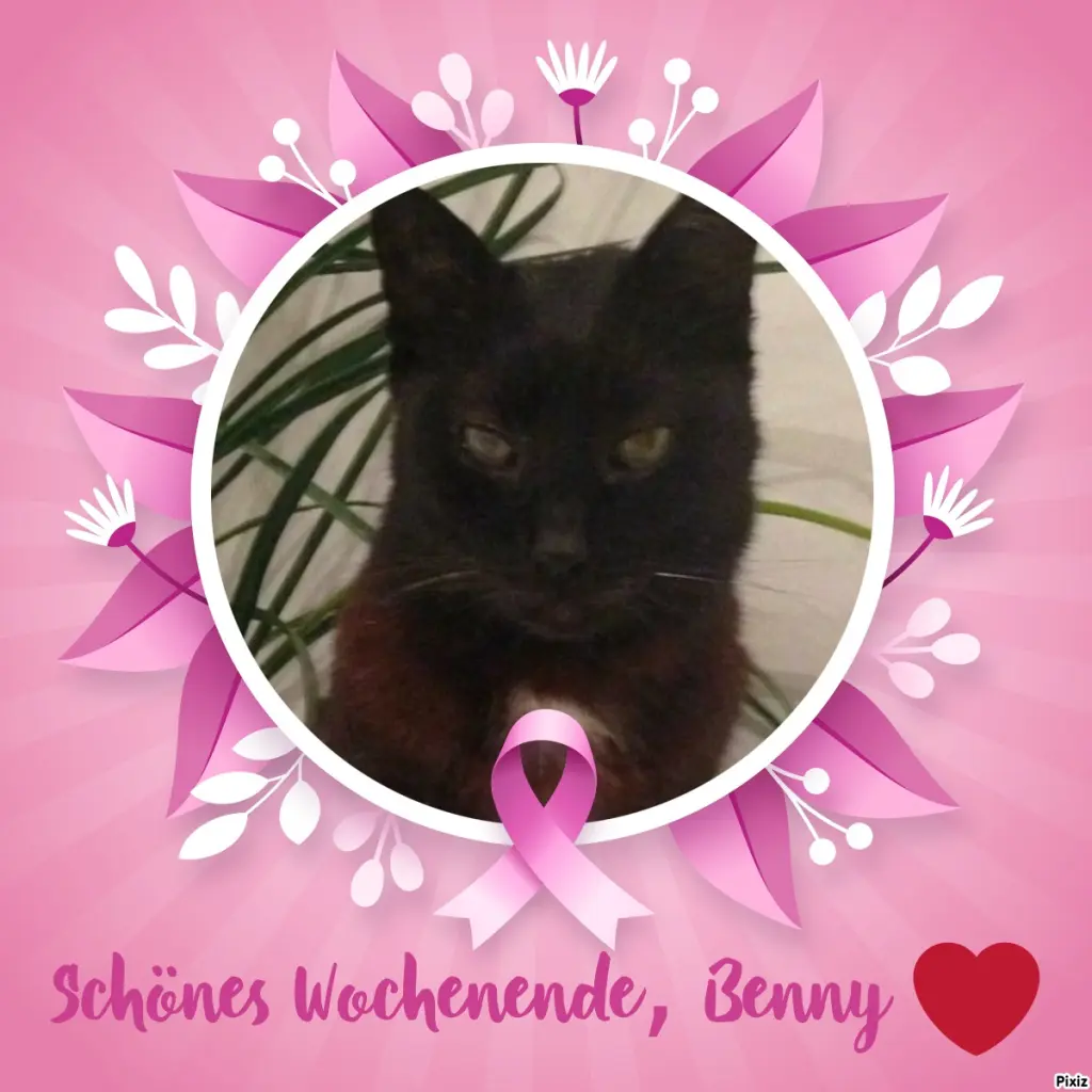 Condolence image of Timmys Mutti Tanja an Sternenprinz Benny ❤