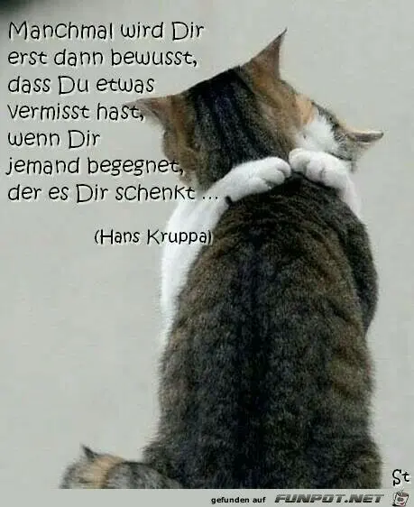 Condolence image of Für die kleinen  Sternchen Benny und Emma ♥️❤️