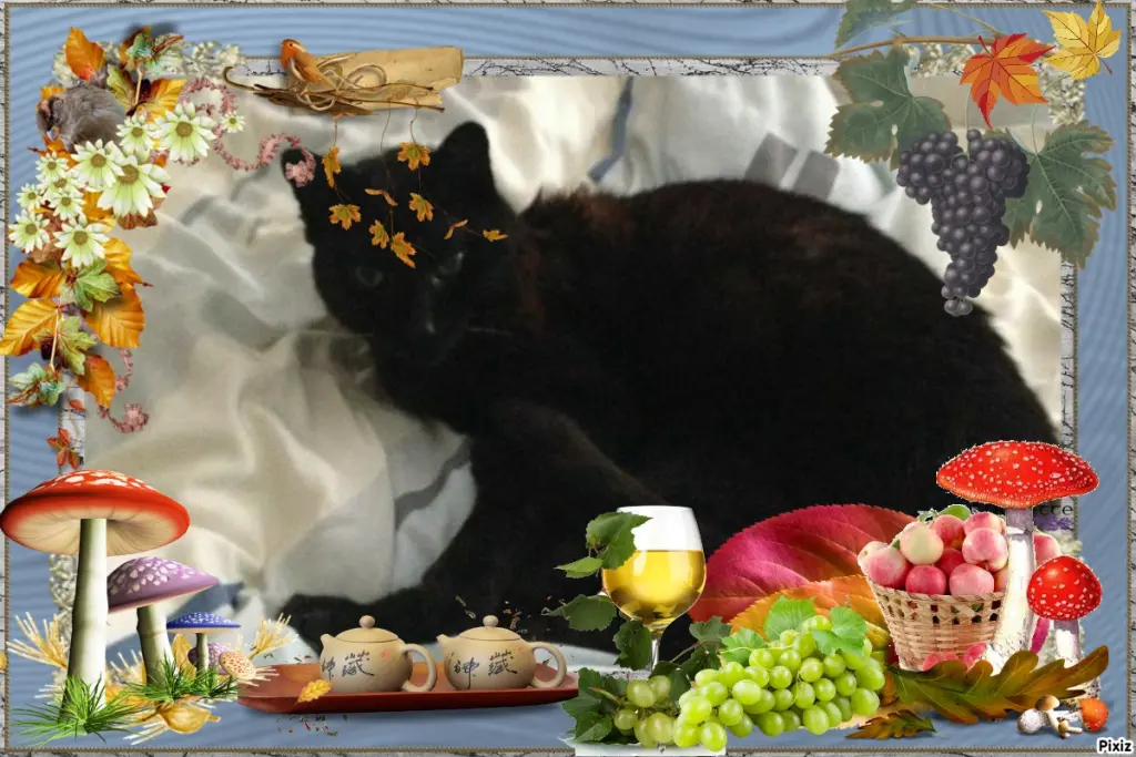 Condolence image of Timmys Mutti Tanja an Sternenprinz Benny ❤