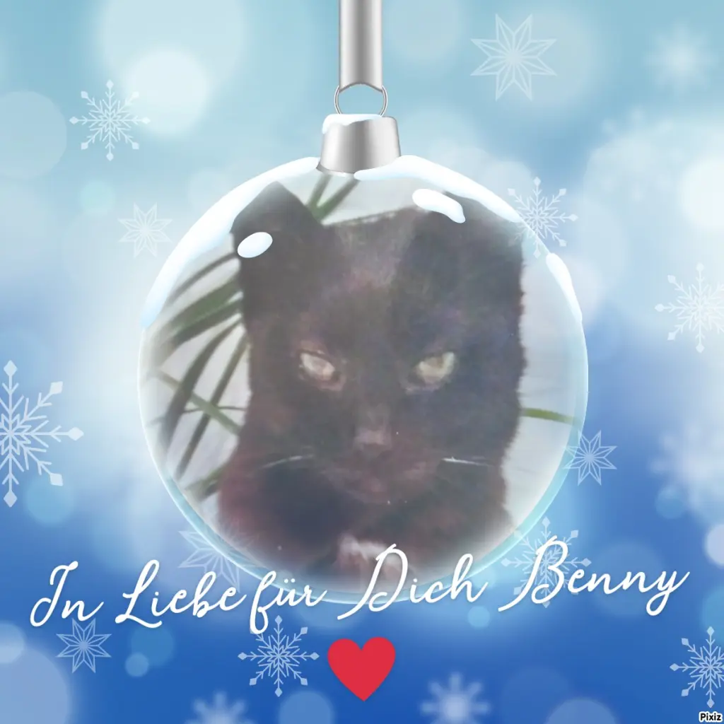 Condolence image of Für Dich kleiner Benny ♥️