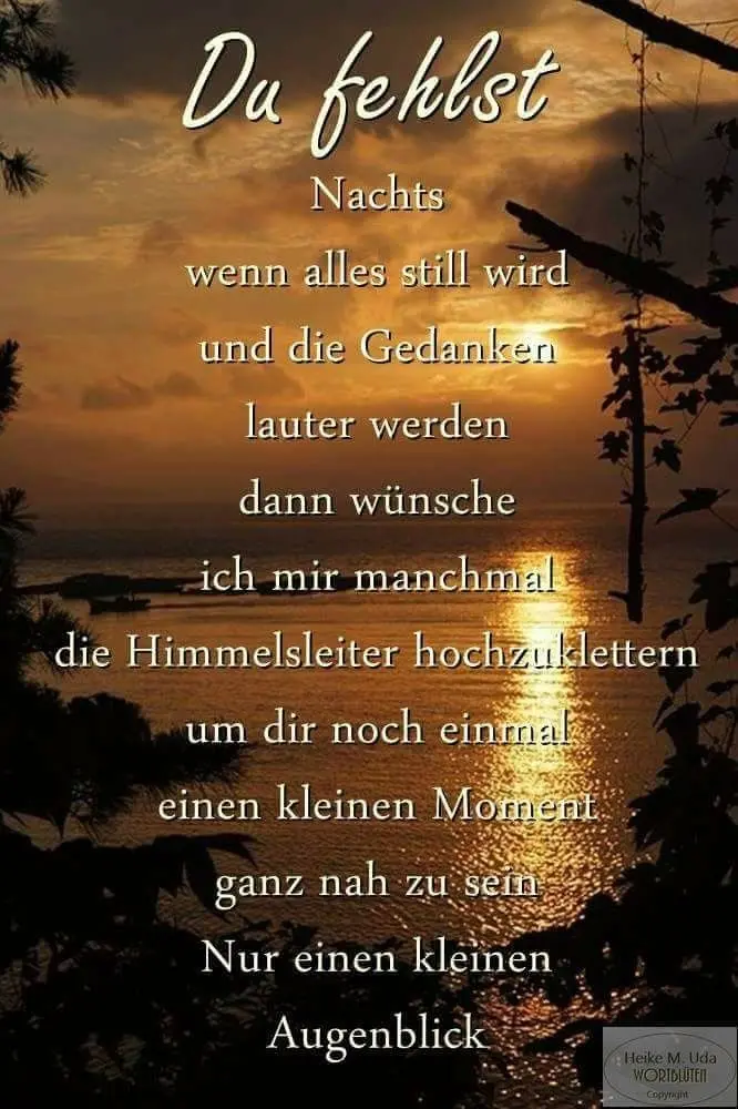 Condolence image of Für Dich kleines Sternchen Benny❤️