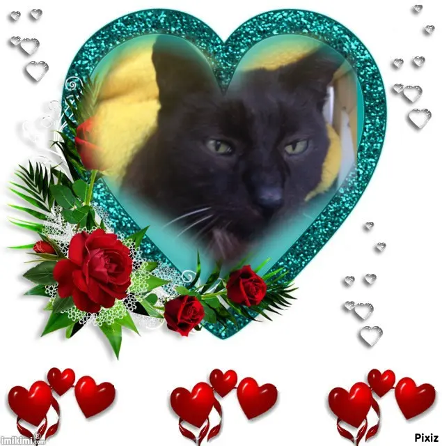 Condolence image of Für Dich kleines Sternchen Benny❤️