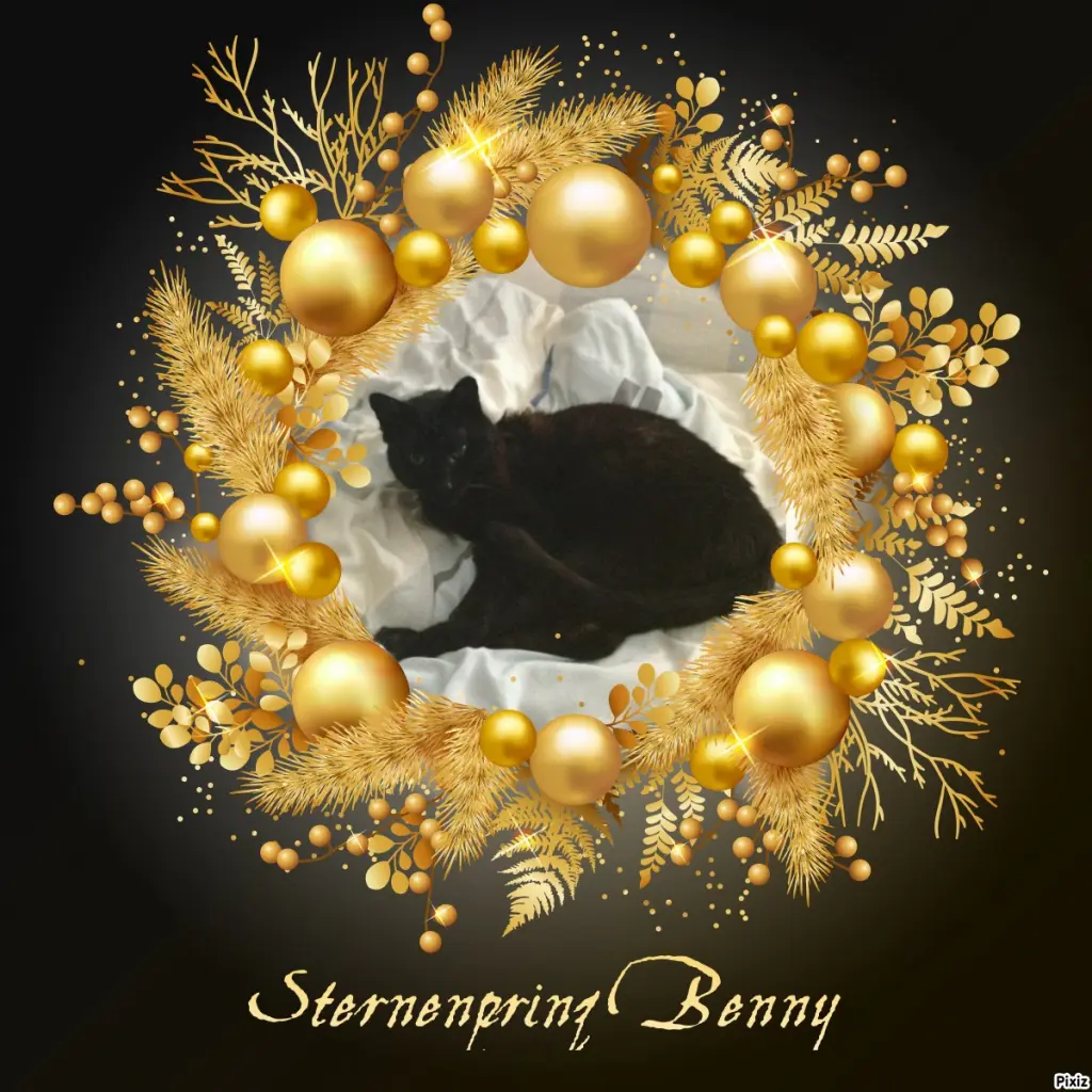 Condolence image of Tanja mit Timmy im Herzen 