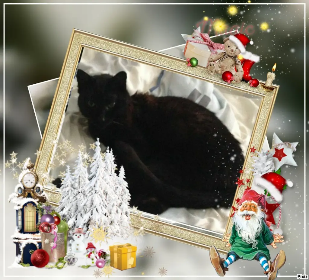Condolence image of Timmys Mutti Tanja an Sternenprinz Benny ❤