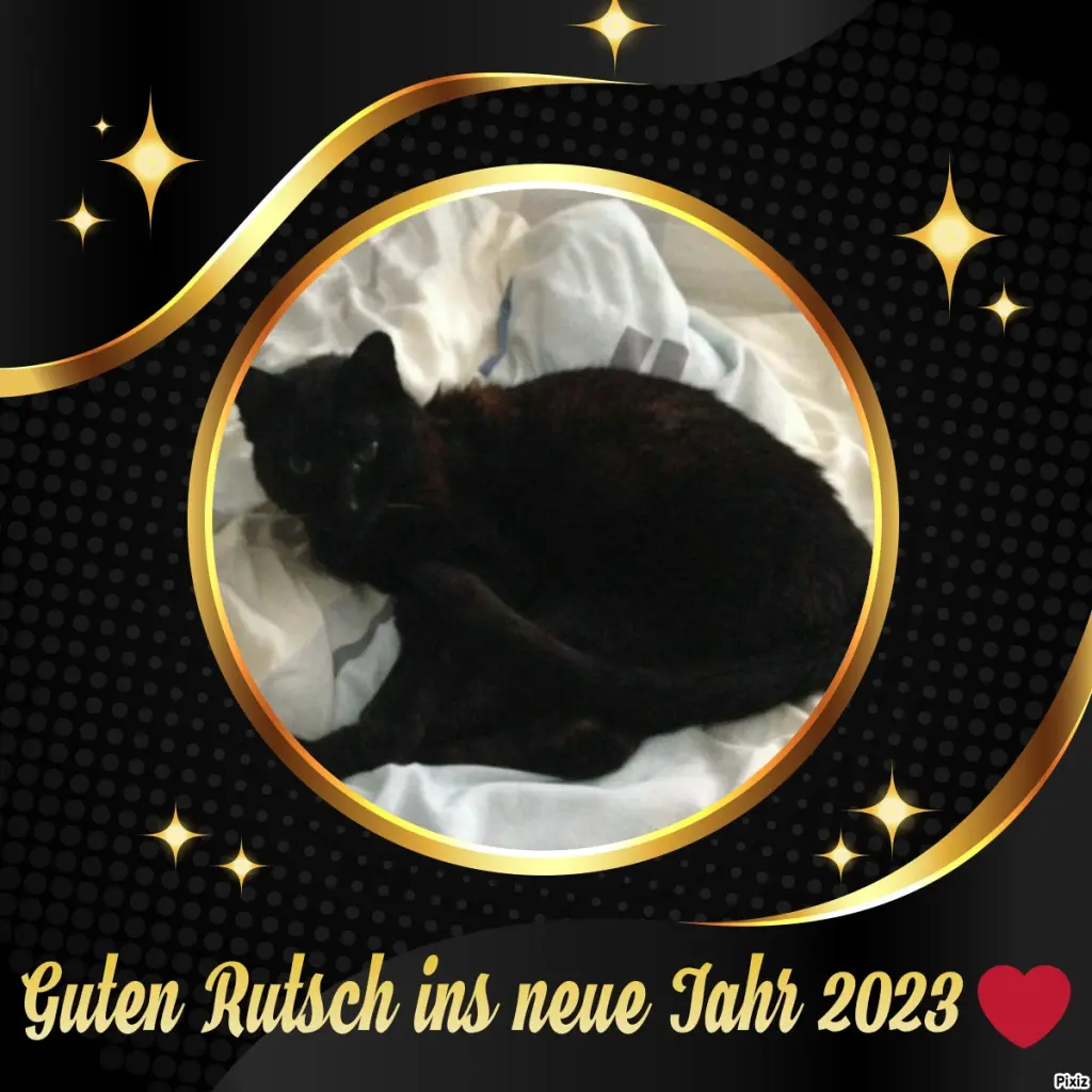Condolence image of Timmys Mutti Tanja an Sternenprinz Benny ❤