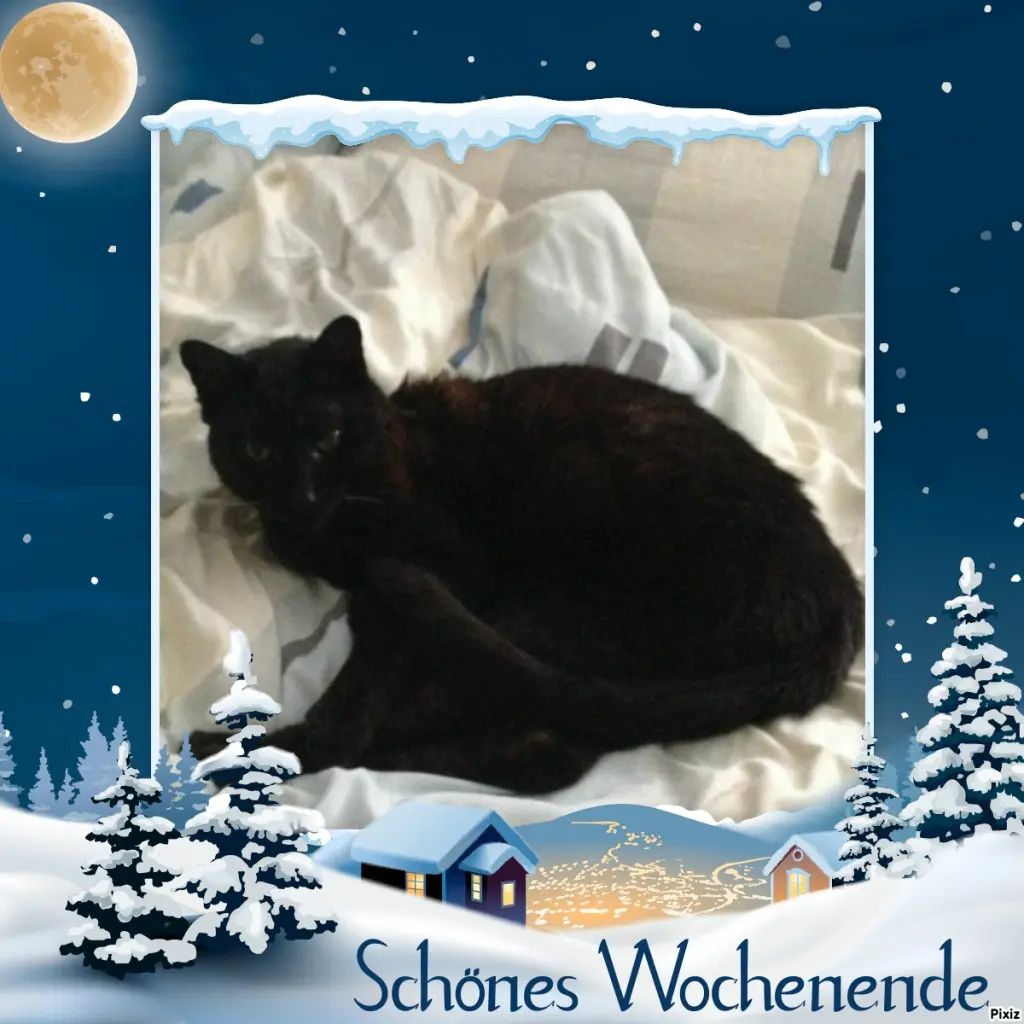 Condolence image of Timmys Mutti Tanja an Sternenprinz Benny ❤