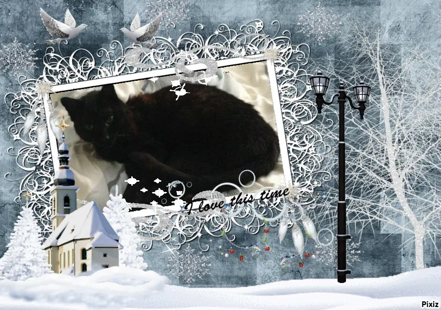Condolence image of Timmys Mutti Tanja an Sternenprinz Benny ❤