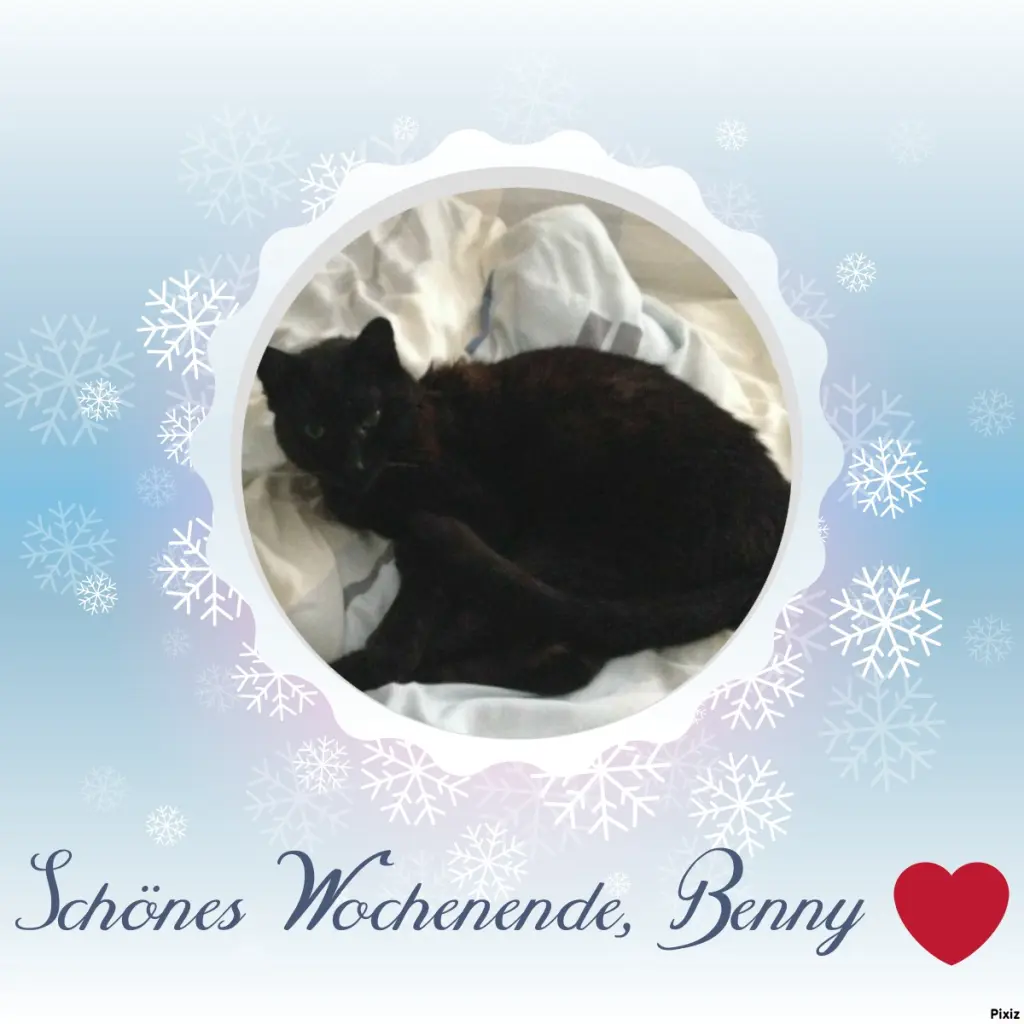 Condolence image of Timmys Mutti Tanja an Sternenprinz Benny ❤
