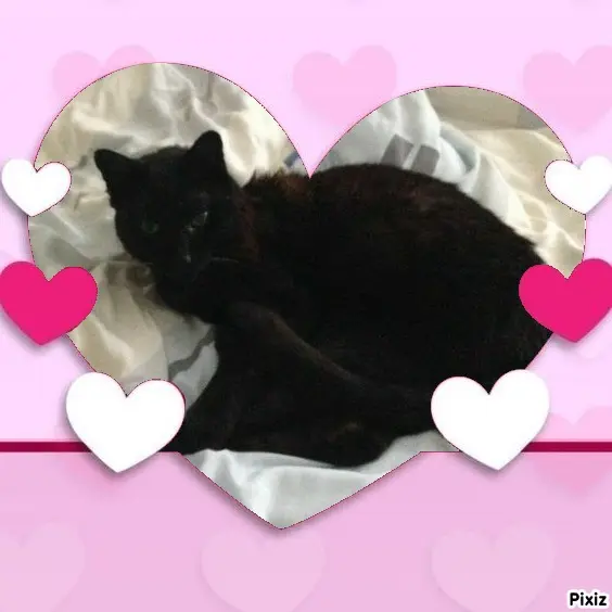 Condolence image of Timmys Mutti Tanja an Sternenprinz Benny ❤