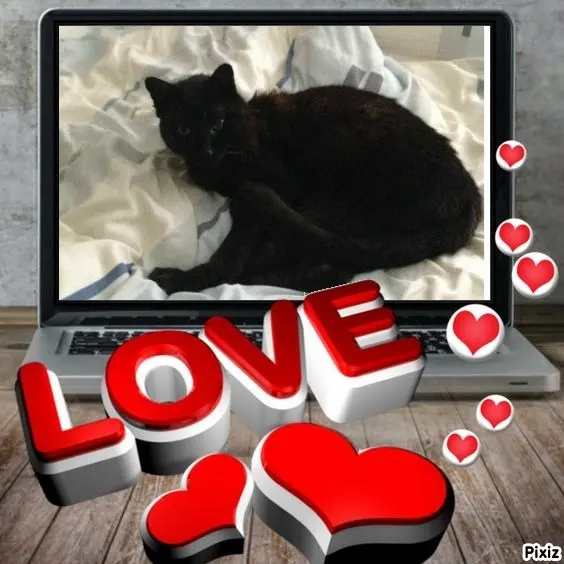 Condolence image of Timmys Mutti Tanja an Sternenprinz Benny ❤
