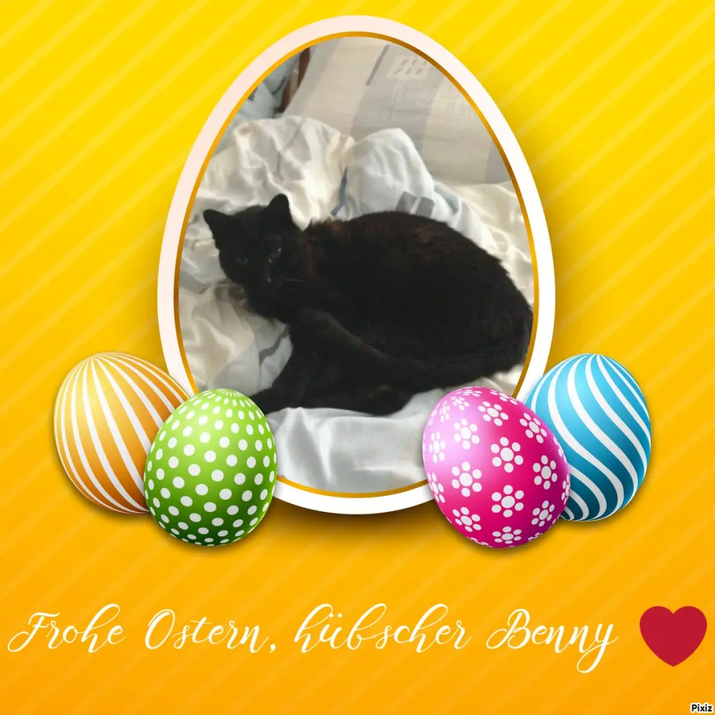 Condolence image of Timmys Mutti Tanja an Sternenprinz Benny ❤