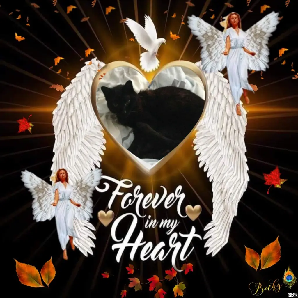 Condolence image of Tanja mit Timmy im Herzen 