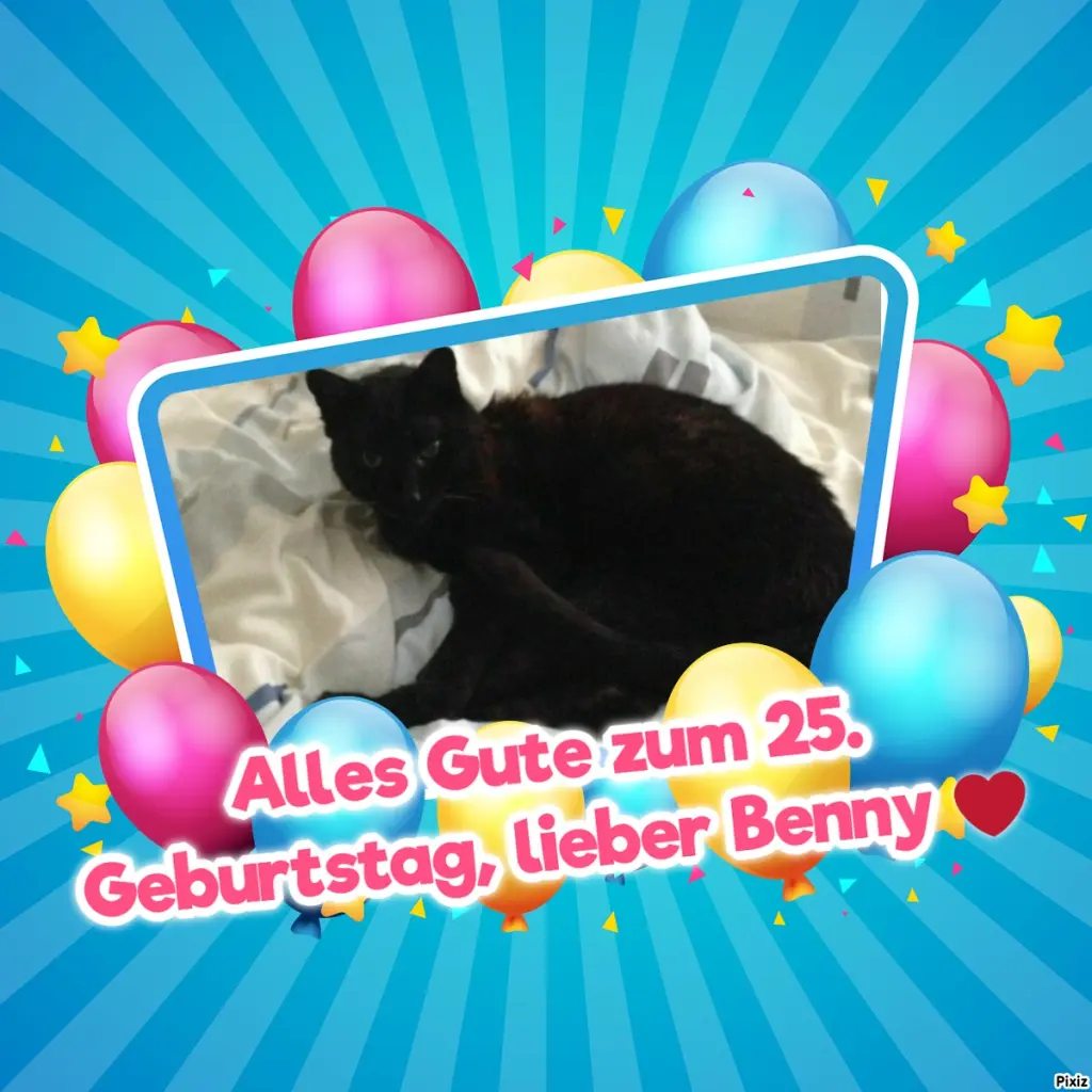 Condolence image of Tanja mit Timmy im Herzen 