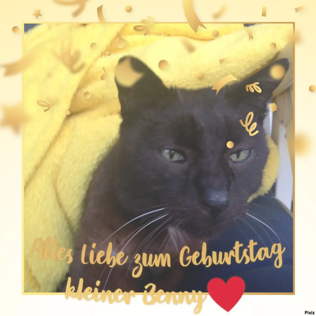 Condolence image of Für Dich Bennyschatz ♥️